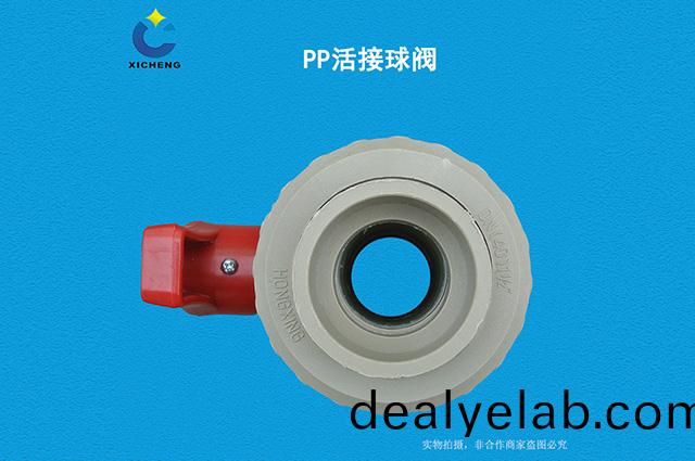 PP活(huo)接毬閥
